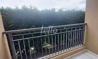 Imagem 6: São Paulo - Apartamento Padrão - Mandaqui