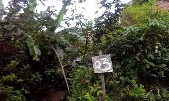 Imagem 3: Terreno com casa