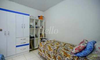 Imagem 3: São Paulo - Casa Padrão - São Lucas