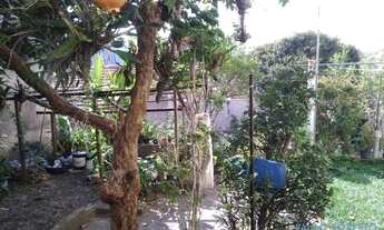 Imagem 2: CASA TÉRREA - NOVA GERTI - SP