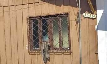 Imagem: Casa na barra do sul 500 reais pra leva