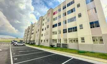 Imagem: Viva vida Flores na principal av. Das flores