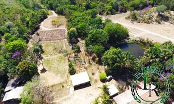 Imagem 6: Fazenda 110 Alqueires Beira Asfalto, Próximo da Capital