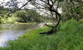 Imagem 5: Haras - / Rural / Centro