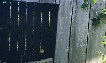 Imagem 3: 123. Fazendo no Município de Aquidauana/MS