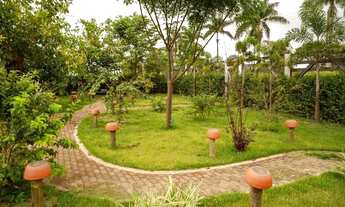 Imagem 3: VENDA Fazenda / sítio com venda por R$2.800.000