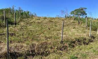 Imagem 6: Chácara com 1 dormitório à venda, 2000 m² por R$ 110.000,00 - Zona Rural - São Luiz do Par