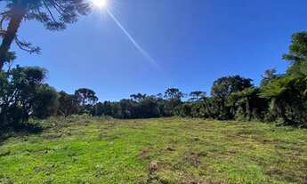 Imagem 2: TERRENO DE ALTITUDE ACIMA DE 1500 METROS EM URUBICI PARA VENDA!!!