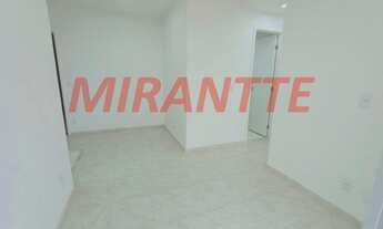 Imagem 3: Lindo apartamento em Vila Itapegica