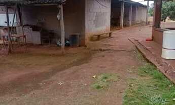 Imagem 3: SITIO ribeirao preto 3 alqueires com irrigacao 3 galpoes zap *2