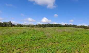 Imagem 5: Lote/Terreno para venda tem 500 metros quadrados em Granja Carolina - Cotia - SP