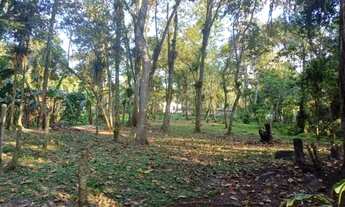 Imagem 7: Sitio Rio das Pedras - Alexandra