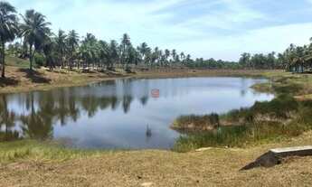 Imagem 6: LOTE NO THAI RESIDENCE