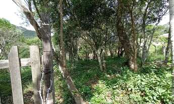 Imagem 6: Invista no seu futuro neste terreno em uma das regiões mais valorizadas de Florianópolis