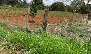 Imagem 5: 7 km de bonfinópolis, terra boa para plantio, já com milho plantado e mandioca