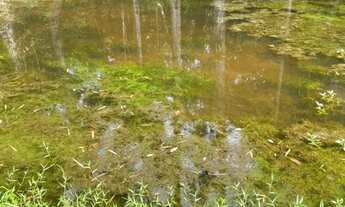 Imagem 4: Chácara para Venda em Juquitiba, Centro