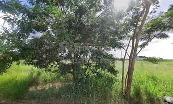 Imagem 3: Terreno Parque Vila Nobre