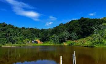 Imagem 5: Terreno amplo pronto para projeto