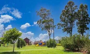 Imagem 5: Veredas | Fundos bosque