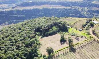 Imagem 7: INBOX CIA IMOBILILIÁRIA VENDE EM COTIPORÃ - Área de terras com 2.3 hectares em Pinto Bande