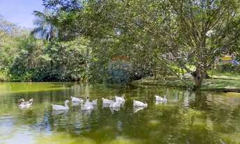 Imagem 2: Casa térrea à venda com 3 suítes