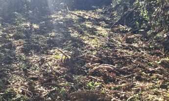 Imagem 6: Terreno Amplo 6,9 Hectares - Gramado RS - Excelente Localização