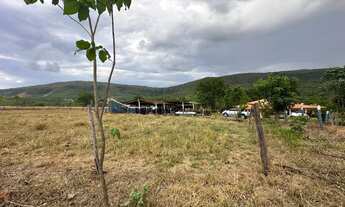 Imagem 6: Chácara de 24 hectares