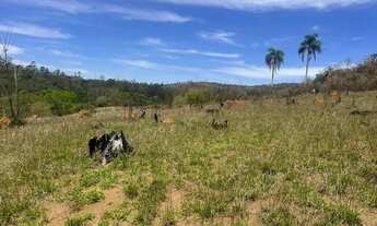 Imagem: Invista em terreno venha conhecer