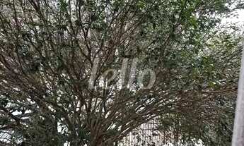 Imagem 3: Comercial/Industrial 3 quartos à venda no(a) Parque da Vila Prudente