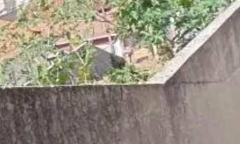 Imagem 15: CASA TÉRREA - RECREIO MARISTELA - SP