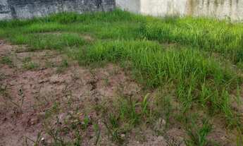 Imagem 2: Terreno na ponta da fruta