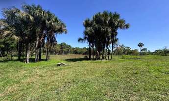 Imagem 6: Ótimo sítio em Itaberai