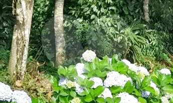 Imagem 2: Terreno à venda em Roseira - SP