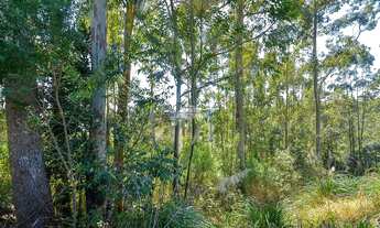 Imagem 6: Vendas Terreno Curitiba PR