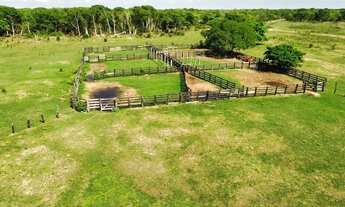 Imagem 2: Fazenda no Pantanal Barão de Melgaço (MT) 12.649 HA, cria, recria e engorda, beira do Ri