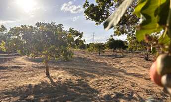 Imagem: Sítio em Lagoa Nova