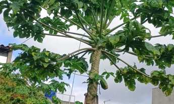 Imagem 7: Casa à Venda em Suzano R$ 400.000,00