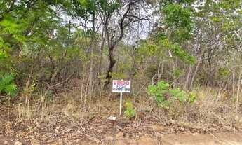 Imagem 4: Terreno 320 m² Frente vaquejada ARREIO DE OURO