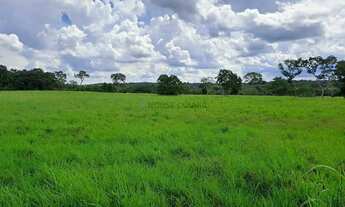 Imagem: Fazenda com 91 hectares banhando pelo rio