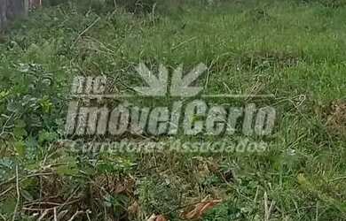 Imagem 3: TERRENO A VENDA PRÓXIMO A AVENIDA IRAI