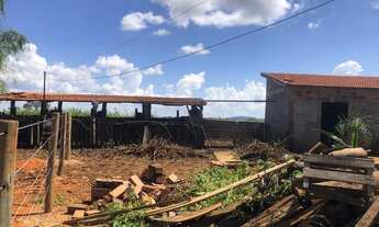 Imagem 4: Chácara em Varjão/GO