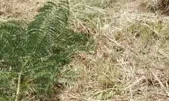 Imagem 3: Terreno 150m2, Atibaia jd Imperial