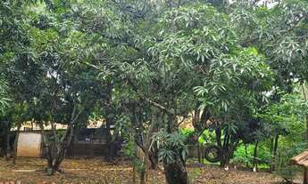 Imagem 3: Pescaria ,quartos diárias