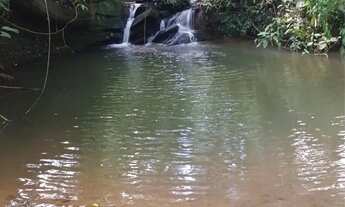 Imagem 3: Chácaras de 3mil mt com córrego nao perca essa oportunidade!