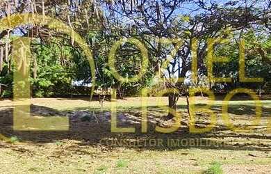 Imagem 3: VENDO CHÁCARA 20.000m² INCRA 09 COM PISCINA CHURRASQUEIRA 2 CASAS GRANDES NA LAJE 500m DO