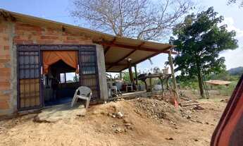 Imagem 6: Vende-se chácara de 9.800mts em Vianopolis