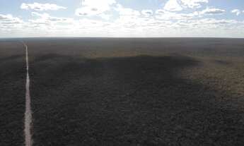 Imagem 5: FAZENDA PRA LARANJA COM 7.000HECTARES, BARATA!!