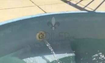 Imagem 7: Apartamento na Rua Assis Bueno