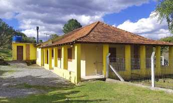 Imagem 2: R- 548 Vendo Belíssima propriedade de 18,5 hectares na região de Pelotas