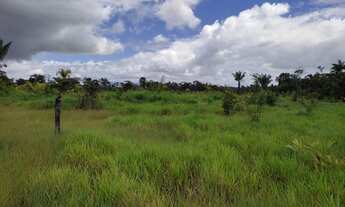 Imagem 2: Vendo fazenda em Roraima